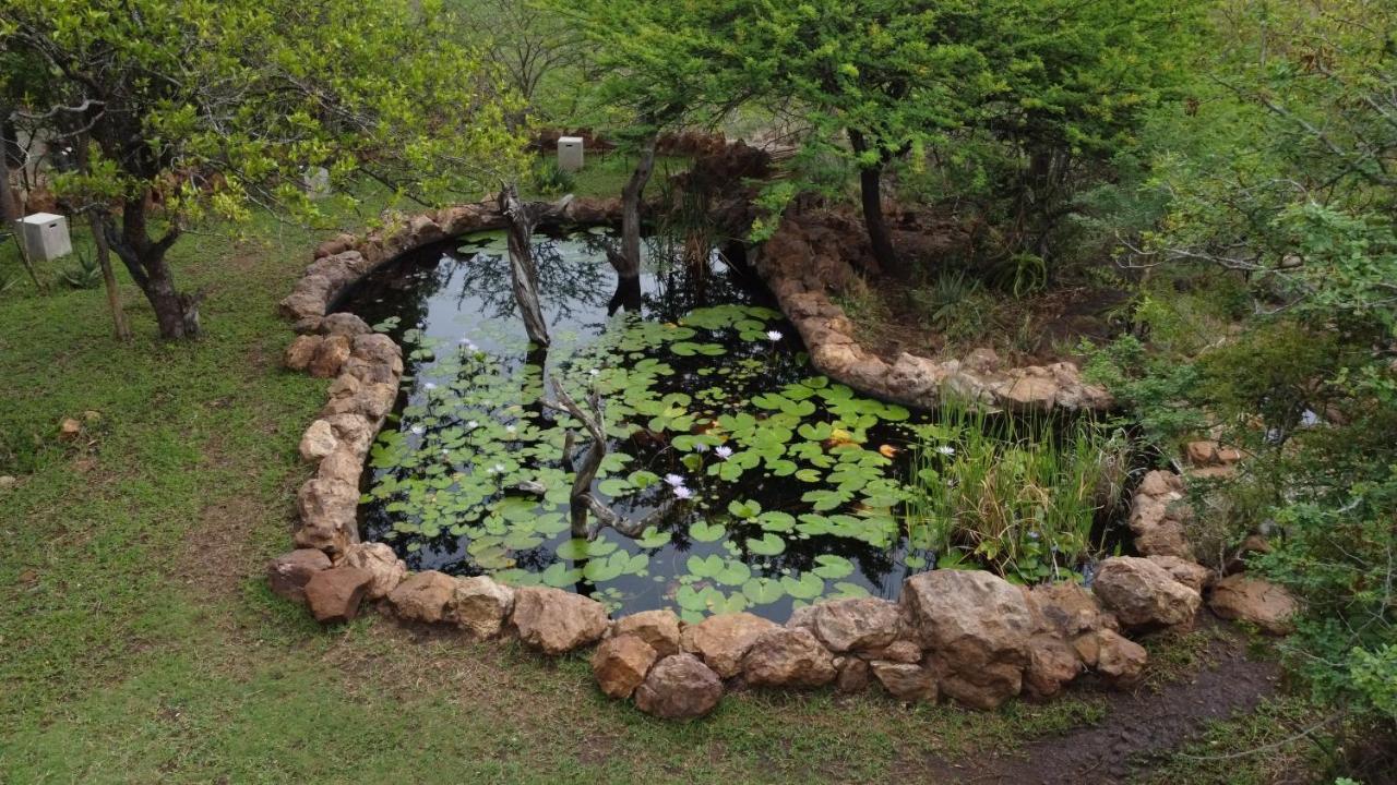 ลีโอพาร์ด เมาน์เทน ซาฟารี ลอดจ์ Villa Manyoni Private Game Reserve ภายนอก รูปภาพ