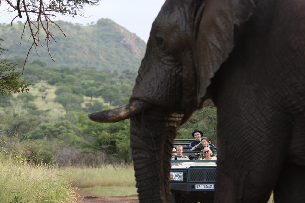 ลีโอพาร์ด เมาน์เทน ซาฟารี ลอดจ์ Villa Manyoni Private Game Reserve ภายนอก รูปภาพ